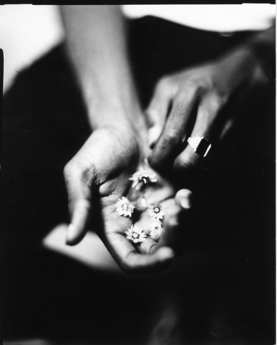 Les fleurs et l’orage