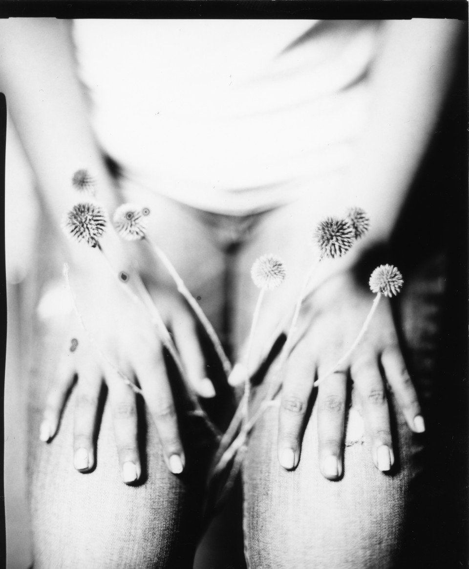 Les fleurs et l’orage