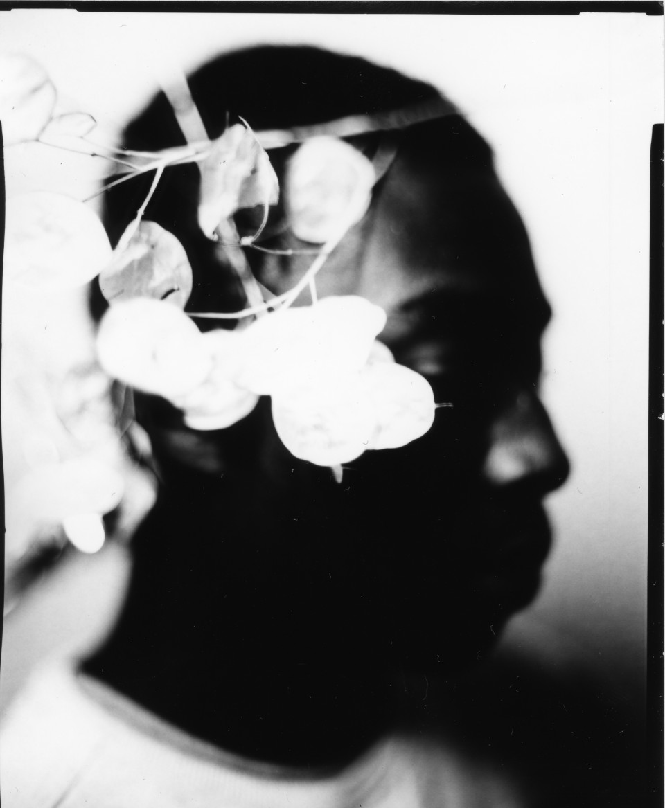 Les fleurs et l’orage