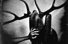 Corinne Baud